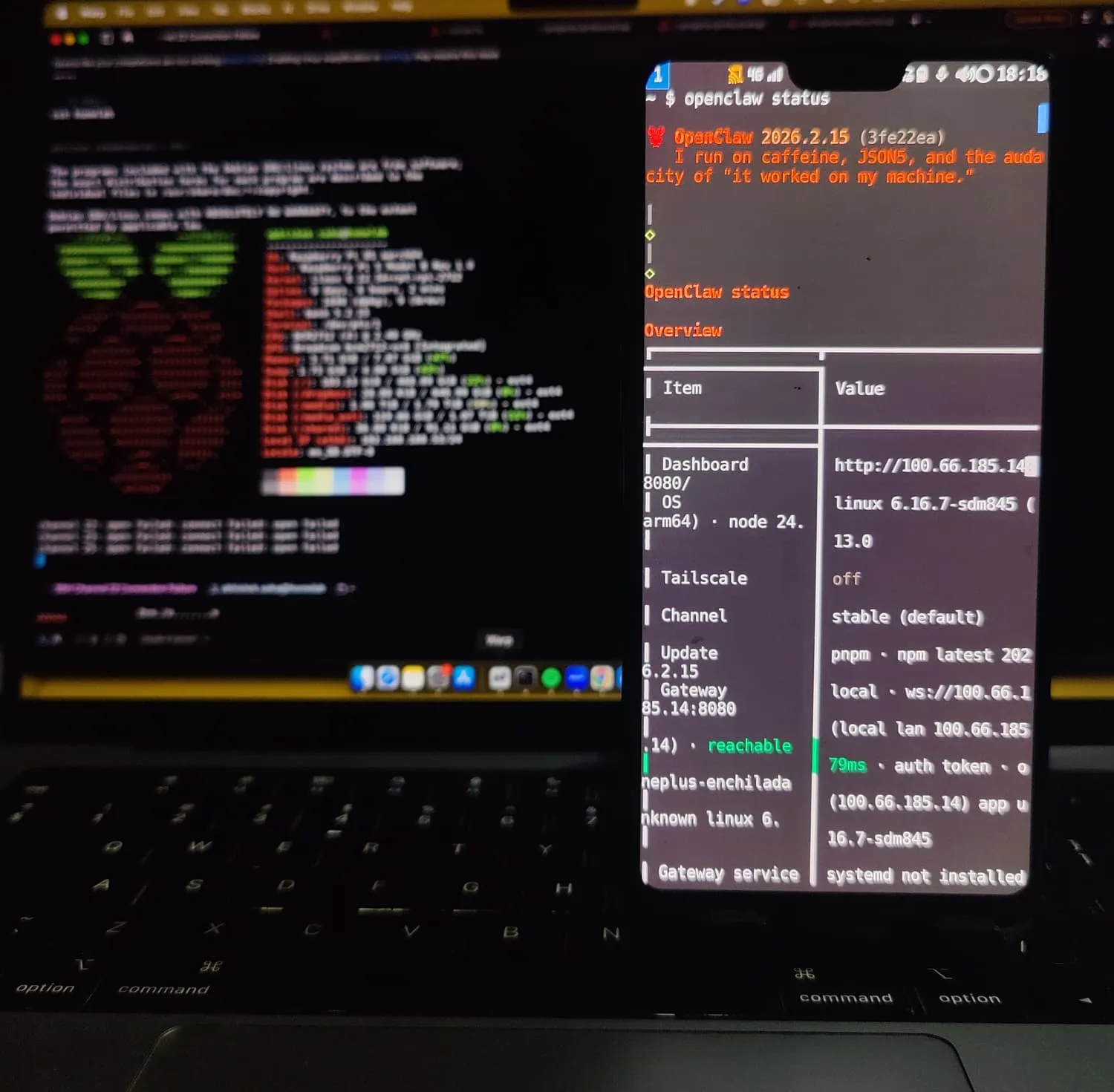 status of OpenClaw from my phone's terminal