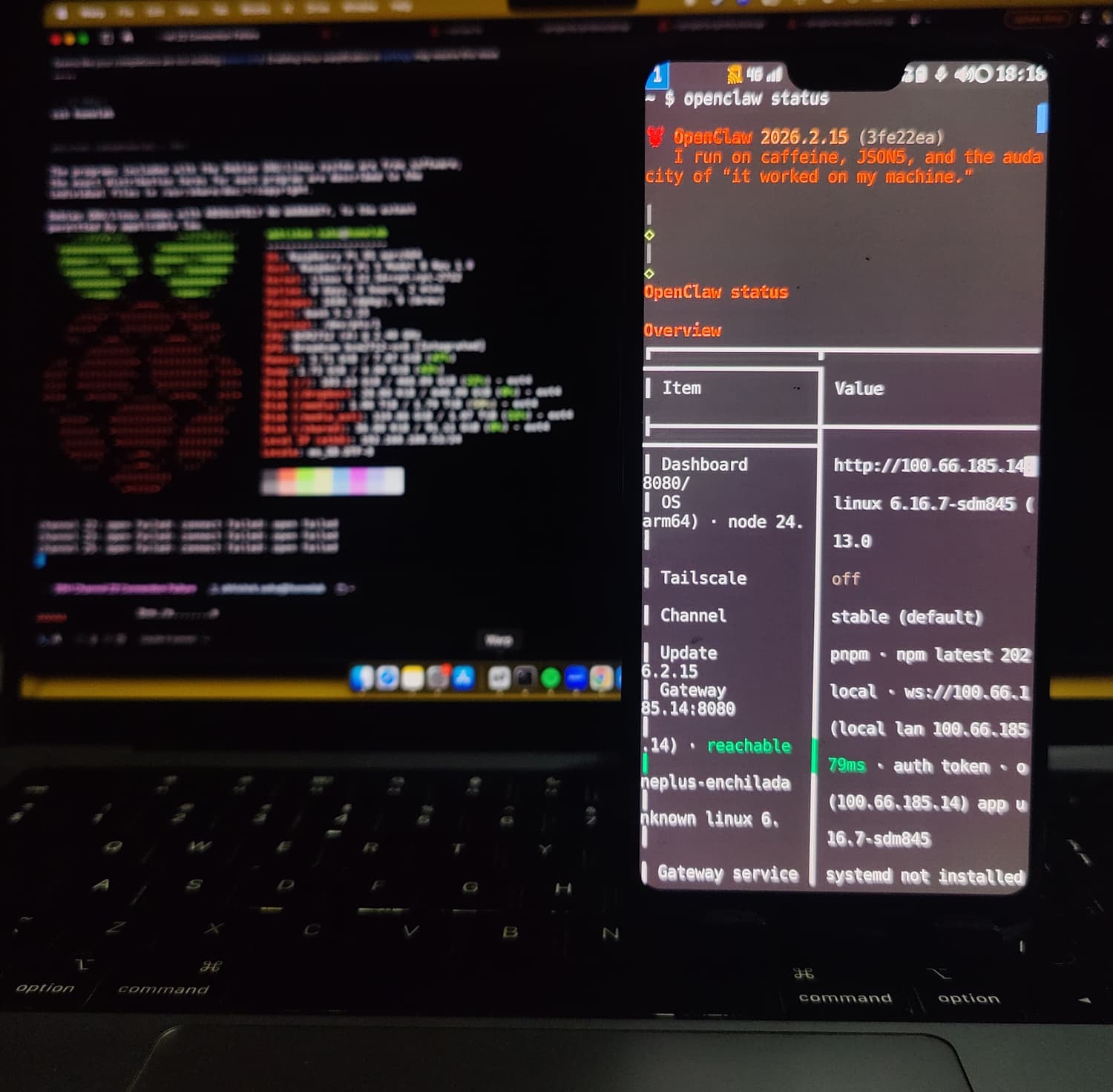 status of OpenClaw from my phone's terminal